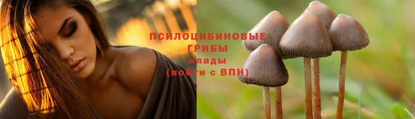 амф Балабаново