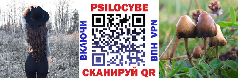 закладка  Усолье  Псилоцибиновые грибы ЛСД 